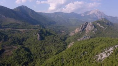 Dağ tepelerindeki yeşil ormanlar. İHA 'dan hava görüntüsü.