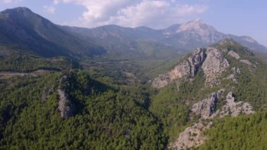 Dağlardaki kozalaklı ormanlar. Yukarıdan hava görünümü.