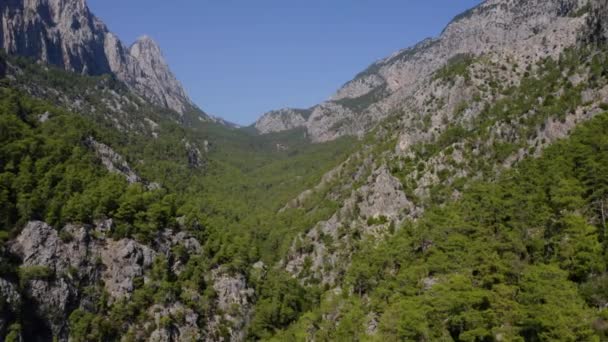 Drohnenbild von schönen grünen Kiefern, die an Berghängen wachsen. — Stockvideo