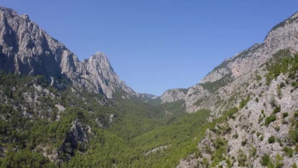 Altas montañas y bosques verdes bajo el cielo azul en un día de verano. — Vídeo de stock