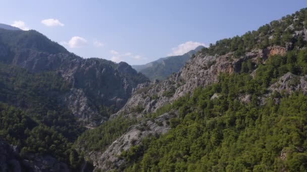 緑の森に覆われた山の峡谷の空中風景. — ストック動画