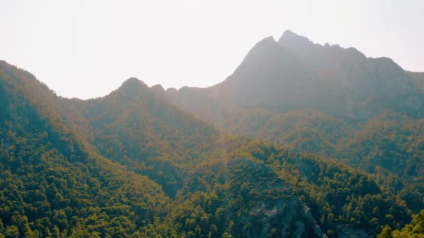 Rocky dağları güneş ışığı altında yeşil ağaçlarla kaplı.. — Stok video