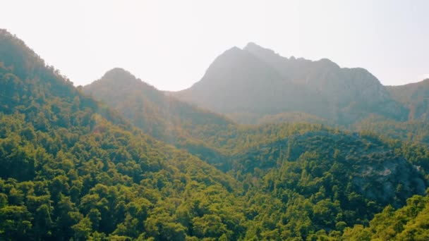 Verdi colline montuose ricoperte di fitti boschi. Vista estiva dal drone. — Video Stock