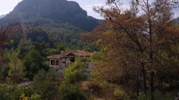 Beautiful house in mountains surrounded with green pine trees. — Stock Video