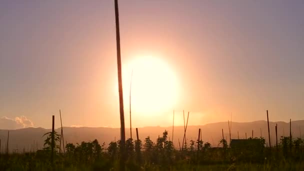 Por do sol na Ásia — Vídeo de Stock