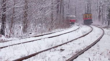 Demiryolu karlı ormandaki