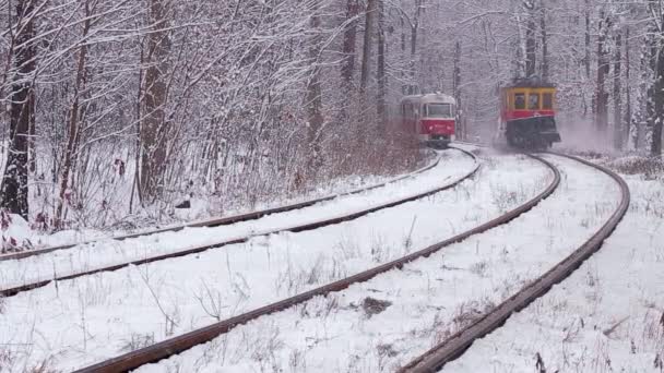 Eisenbahn im verschneiten Wald — Stockvideo