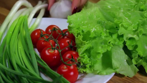 Vegetables from  garden — Stock Video