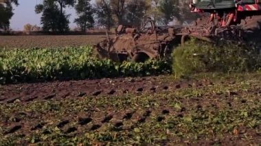 Hasat büyük pulluk