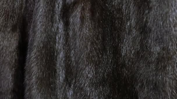 Mink fur coat — Stock Video