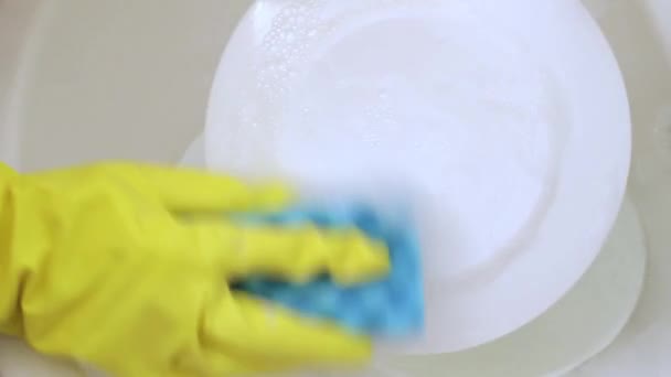 Женские руки мыть посуду — стоковое видео