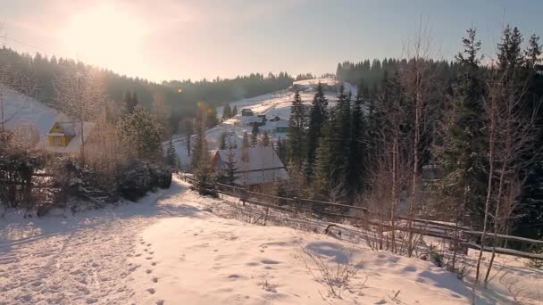 Зимний пейзаж. — стоковое видео
