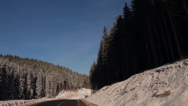 Snöig väg. — Stockvideo