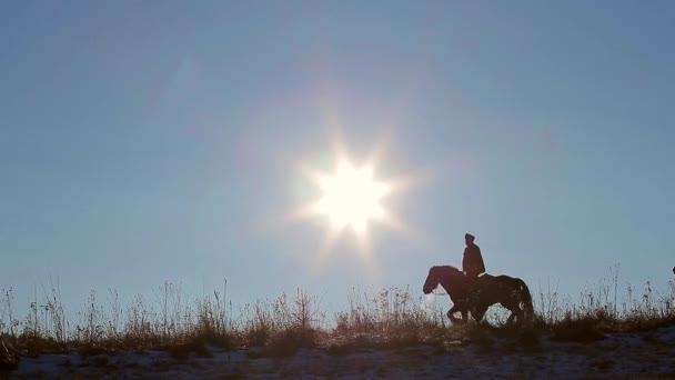 Horses on the horizon. — Stock Video