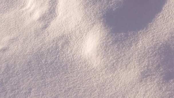 Nieve esponjosa . — Vídeos de Stock
