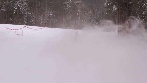 Faller vid målgång. — Stockvideo