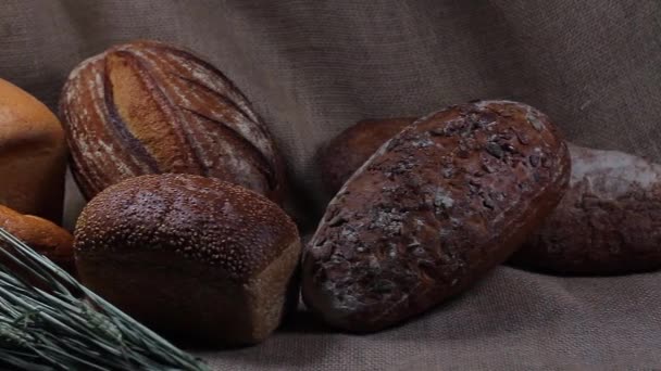 Pane con grano — Video Stock