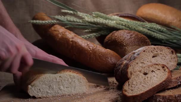 Corte de pão de trigo — Vídeo de Stock