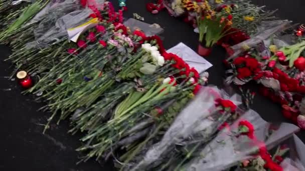 Walk of Fame in bloemen. — Stockvideo