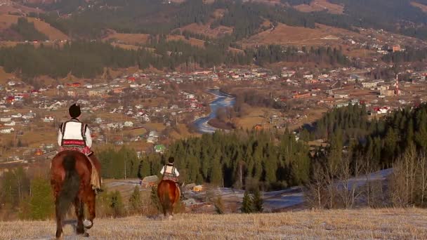 Pferde im Hintergrund der Stadt. — Stockvideo