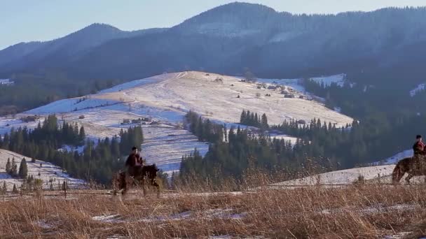 Pferderennen in den Bergen. — Stockvideo