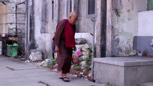 Monk sat down to rest. — Stock Video