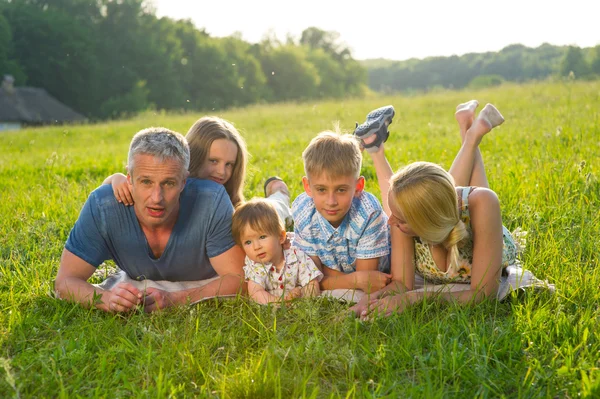 Large family on a green meadow. — Stok fotoğraf