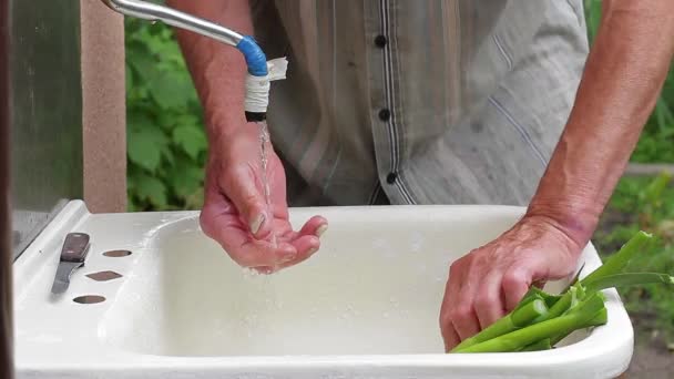 Starý muž myje česnek. — Stock video