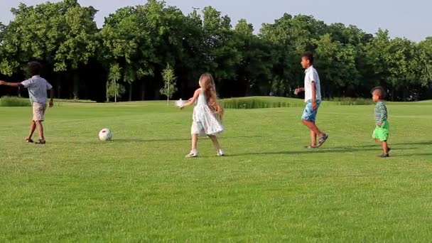 Vier kinderen spelen op de avond glade. — Stockvideo