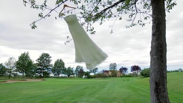 Wedding dress is hanging on a tree. — Stock Video
