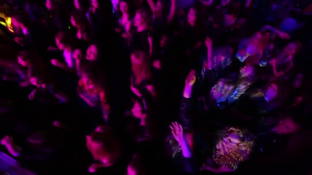 Disco in a nightclub. — Stock Video
