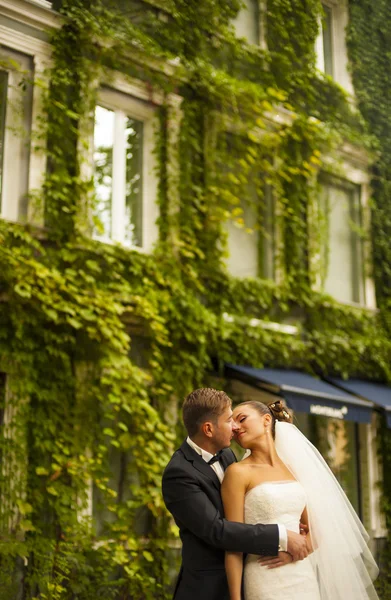 The groom is going to kiss his bride opposite the building with — Stock Photo, Image