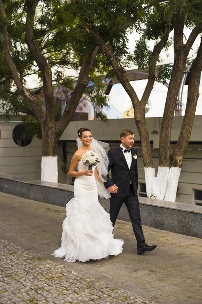 Os recém-casados estão a atravessar a praça. . — Fotografia de Stock