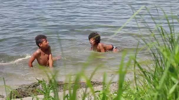 Two mulatto swimming. — Stock Video