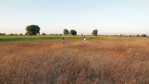 Jongens lopen op distillatie. — Stockvideo