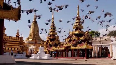 Pagodadan üzerinde uçan güvercinler.