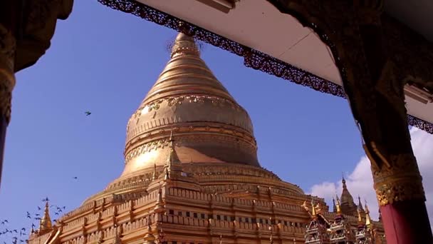 Um pagode enorme em Bagan. Shwezigon pagode . — Vídeo de Stock