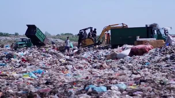 Machines à ordures sur une décharge . — Video