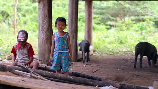 Donkere kinderen op het platteland. — Stockvideo