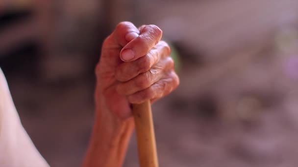 Hand of very old grandmother. — Stock Video