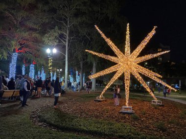 Orlando, Florida, ABD - 11.28.2024: Işıklarla kaplı ağaçlarla çevrili parlayan büyük bir yıldız. İnsanlar renk ve şenlik enerjisiyle dolu güzel gece gösteriminin tadını çıkarıyorlar..
