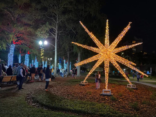 Orlando, Florida, ABD - 11.28.2024: Işıklarla kaplı ağaçlarla çevrili parlayan büyük bir yıldız. İnsanlar renk ve şenlik enerjisiyle dolu güzel gece gösteriminin tadını çıkarıyorlar..