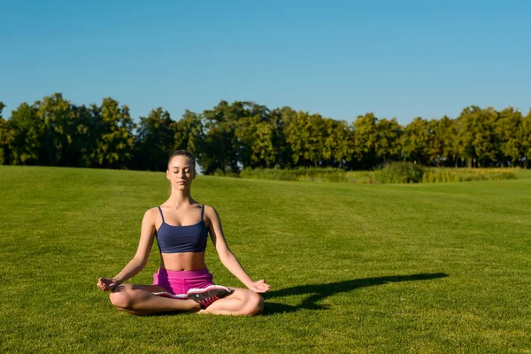 Gymnastics on the lawn. — 스톡 사진