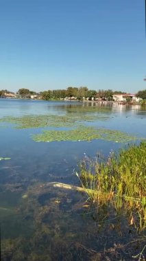 Nilüferler, sazlıklar ve geniş gökyüzünün altındaki yansımalarıyla berrak mavi bir göl. Uzak göl evleri ve ağaçlar huzurlu bir deniz manzarası yaratıyor..