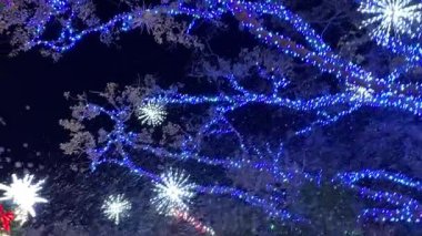 Yakından bakınca, parlak bir Noel ağacının yanında şeker kamışı ve çelengi olan şişme bir Noel Baba görülüyor. Kabarcık gibi kar ve parlak kar taneleri gibi ışıklar karanlık gökyüzünü dolduruyor..