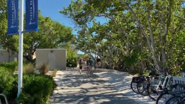 Sarasota, Florida, ABD - 11.18.2023: Bir grup insan sahile doğru ağaçlık bir patika boyunca yürüyor. Bisikletler yakındaki yeşil ağaçların gölgesinde park halindedir..