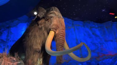 Uzun fildişi dişleri olan yüksek bir mamut heykeli parlayan mavi buz duvarlarına karşı yükselir. Sıcak spot ışıkları, tarih öncesi mağaradaki hayvanların kürkünü ön plana çıkarıyor..