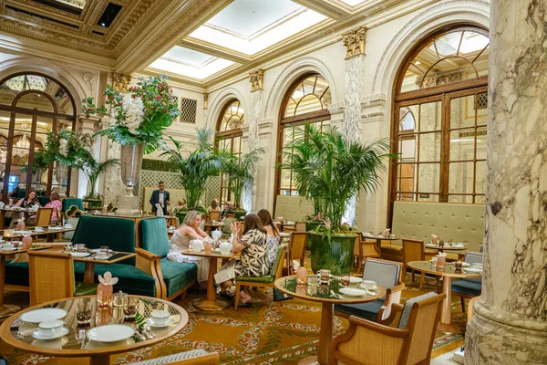 New York City, New York, ABD - 08.01.2024: Lüks bir New York otel kafesi kadife koltuklar, uzun mermer sütunlar ve rafine bir atmosfer yaratan büyük kapalı bitkiler içerir. Konuklar süslü mimari ve yumuşak altında sohbet ve çay içmeyi severler.