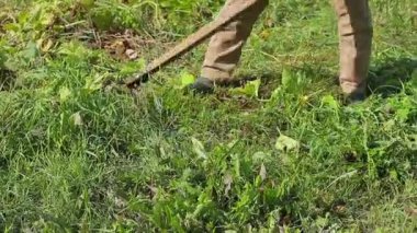 Çiftçi kendi yerine çimleri biçiyor..