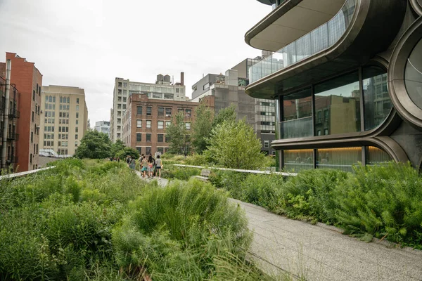 İnsanlar Manhattan 'daki High Line' da yeşillik ve modern mimari ile çevrili bir arazide geziniyorlar. Yükselen park, New York 'ta kentsel eğlence ve turizmi yakalıyor..